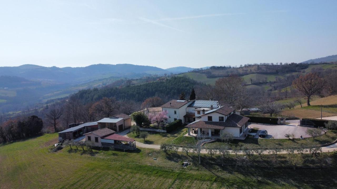 Casa vacanze fra gli ulivi Morano Madonnuccia Esterno foto