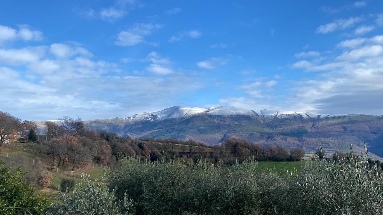 Casa vacanze fra gli ulivi Morano Madonnuccia Esterno foto