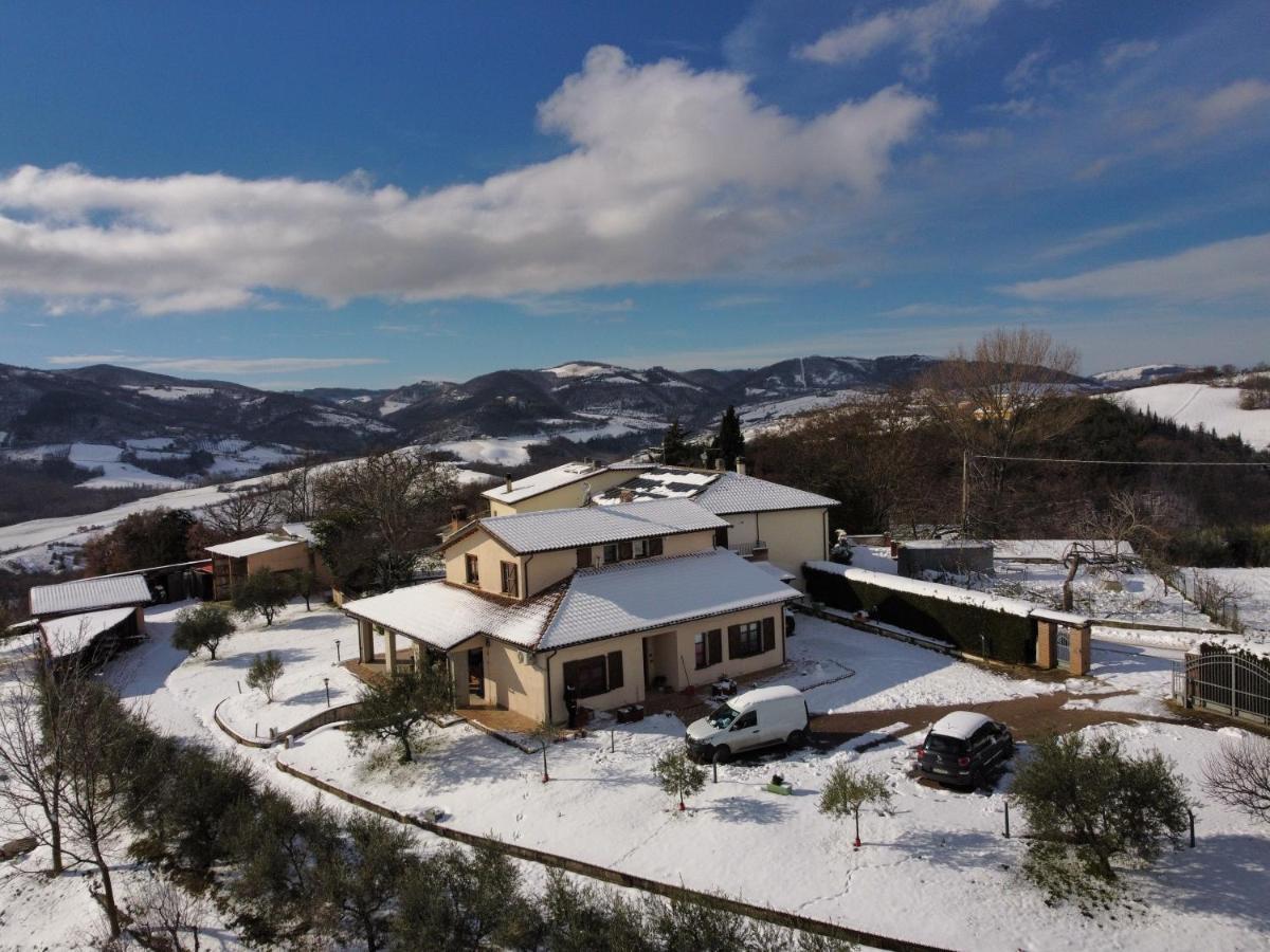 Casa vacanze fra gli ulivi Morano Madonnuccia Esterno foto