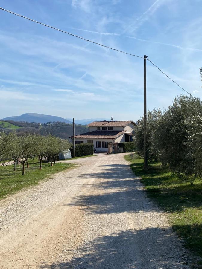 Casa vacanze fra gli ulivi Morano Madonnuccia Esterno foto