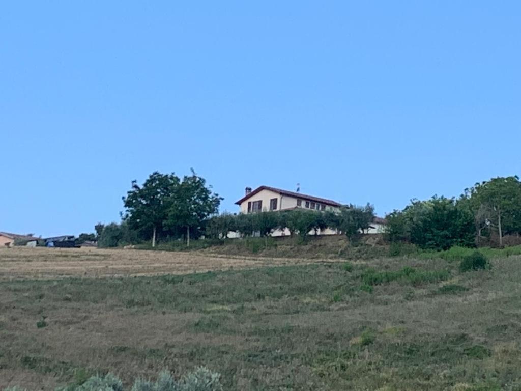 Casa vacanze fra gli ulivi Morano Madonnuccia Esterno foto